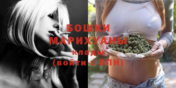 ECSTASY Богданович