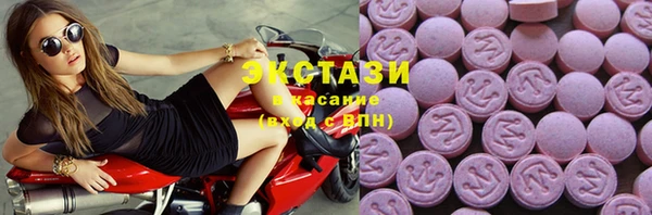 ECSTASY Богданович